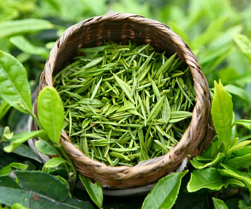 Обертывание «зеленый чай»